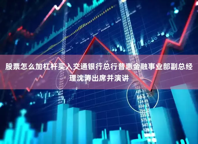 股票怎么加杠杆买入交通银行总行普惠金融事业部副总经理沈涛出席并演讲